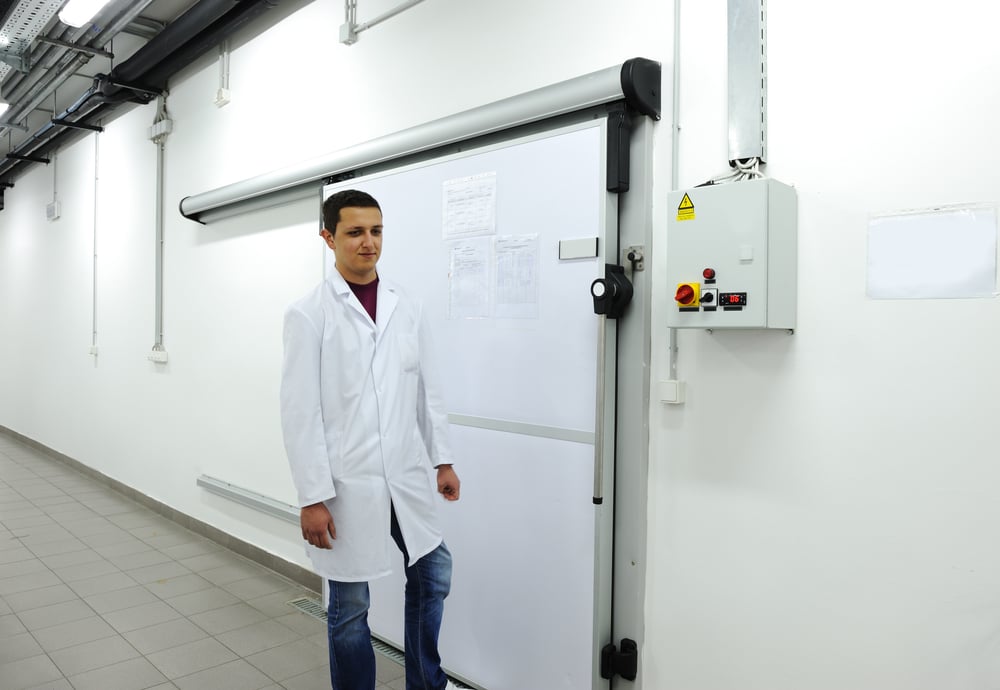 Young worker opening door of industrial refrigerator